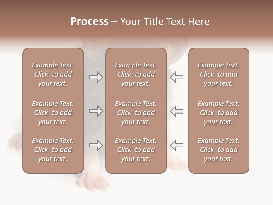 Background Tail Fluffy PowerPoint Template
