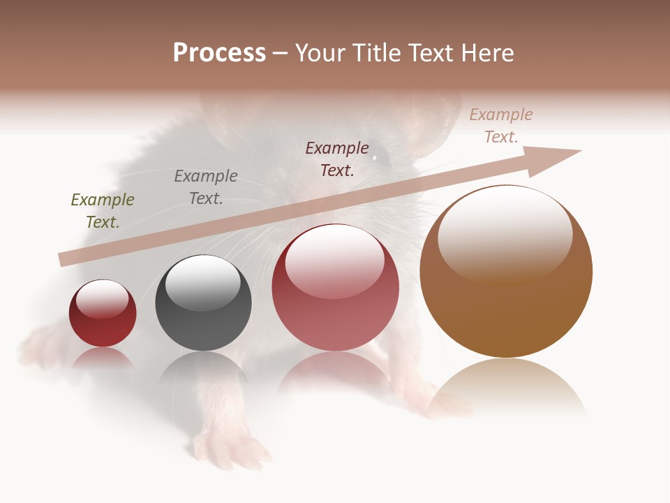 Background Tail Fluffy PowerPoint Template