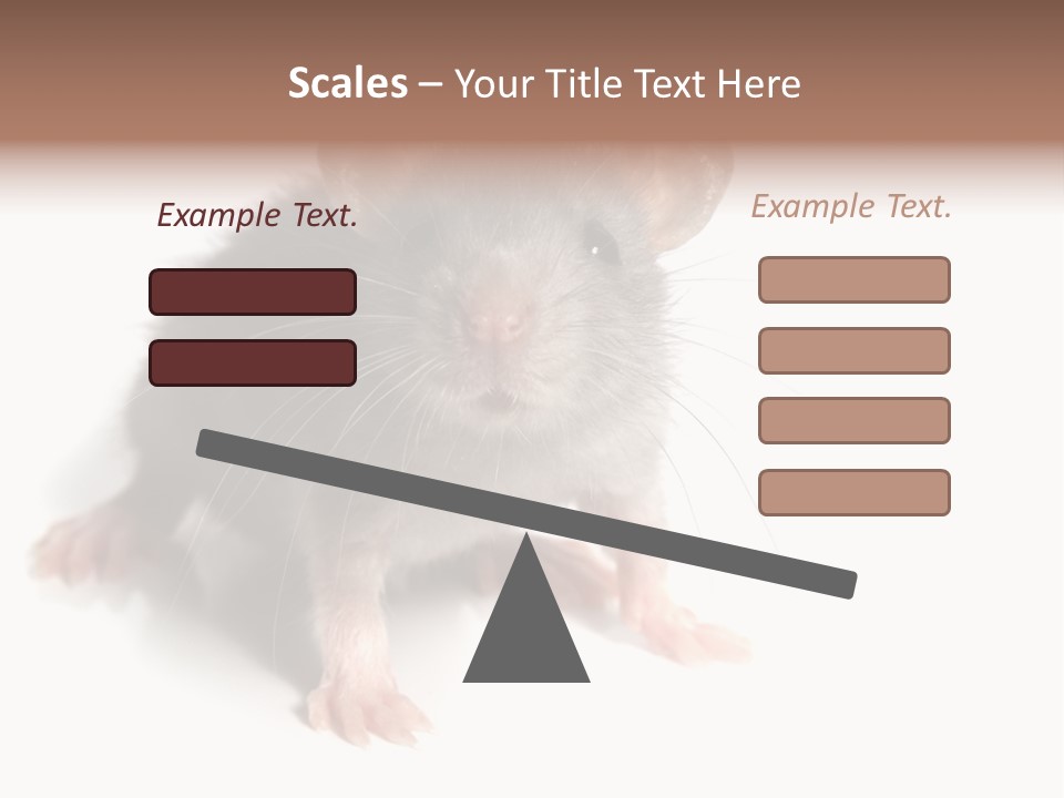 Background Tail Fluffy PowerPoint Template