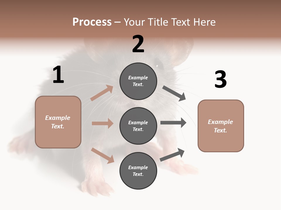 Background Tail Fluffy PowerPoint Template