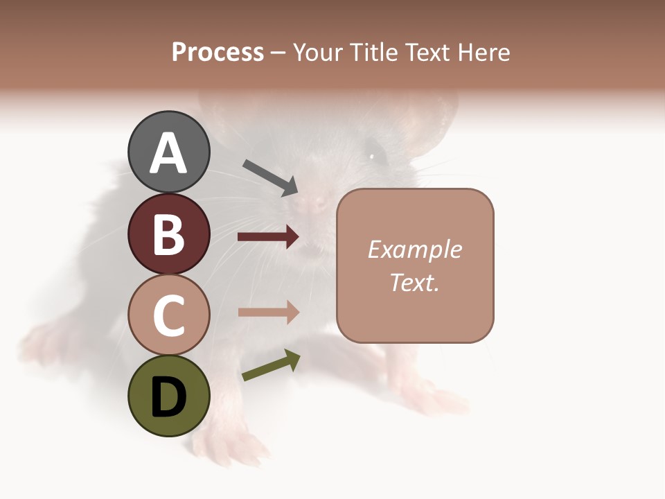 Background Tail Fluffy PowerPoint Template