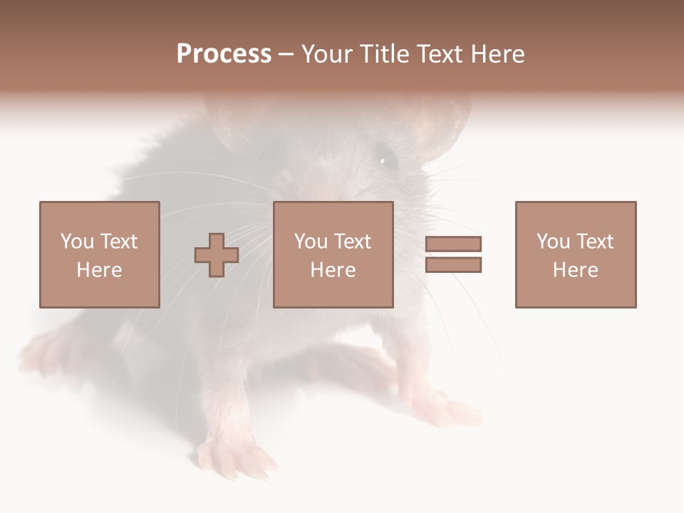 Background Tail Fluffy PowerPoint Template