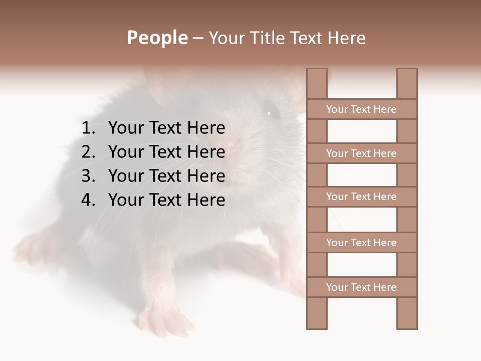 Background Tail Fluffy PowerPoint Template