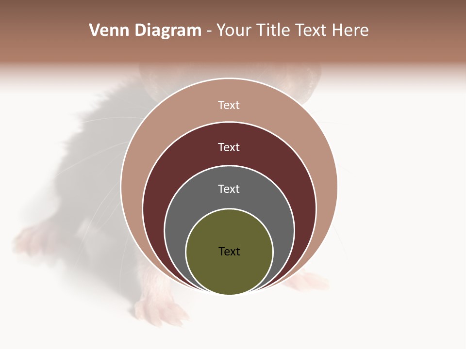 Background Tail Fluffy PowerPoint Template