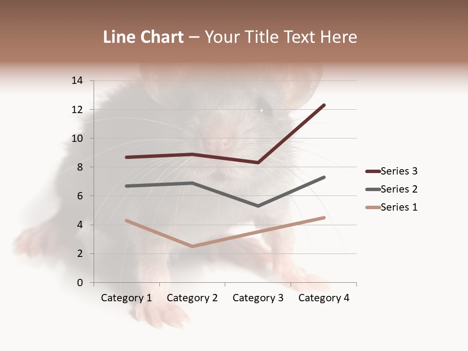 Background Tail Fluffy PowerPoint Template