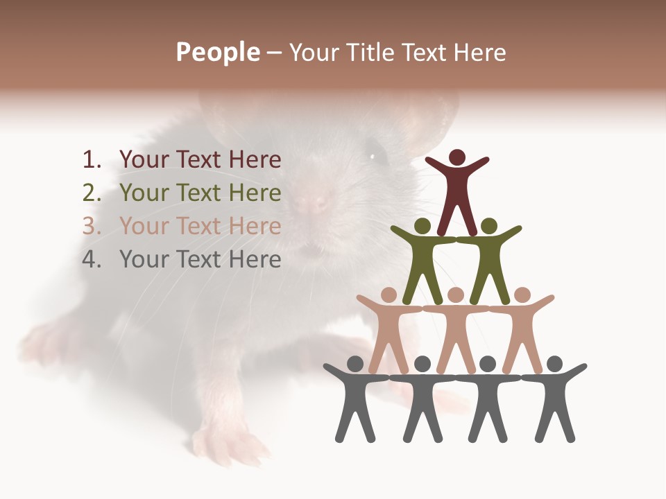 Background Tail Fluffy PowerPoint Template