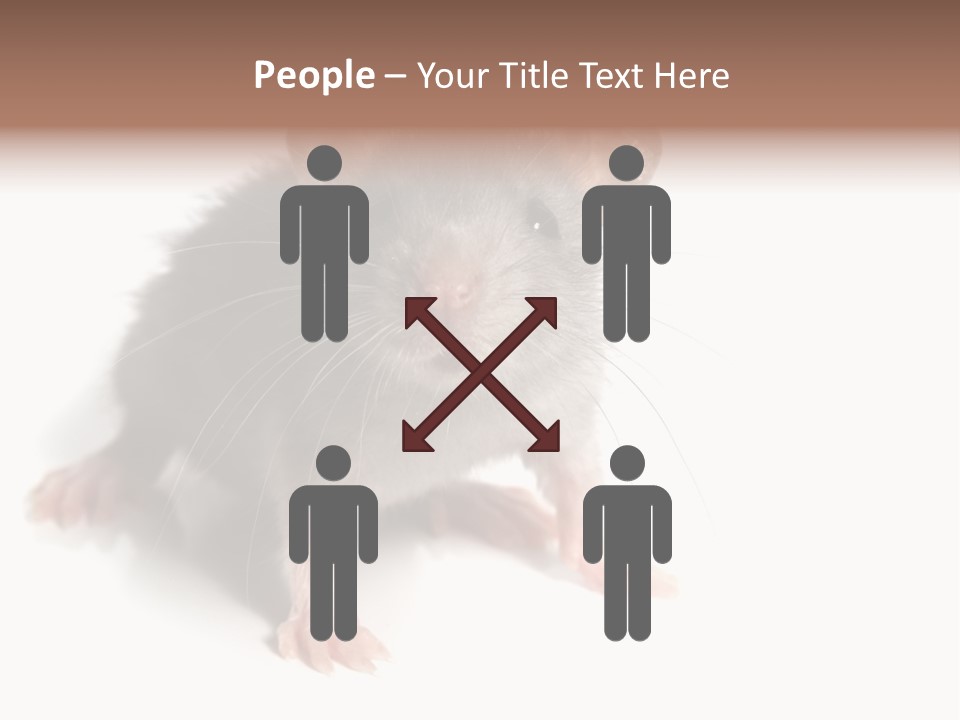 Background Tail Fluffy PowerPoint Template