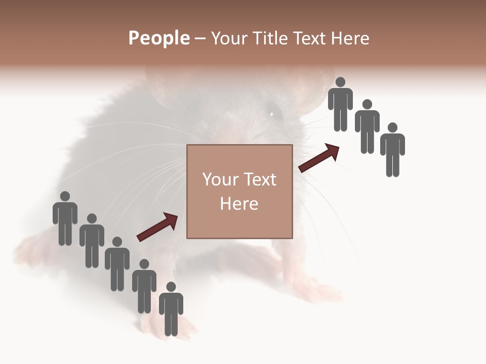 Background Tail Fluffy PowerPoint Template
