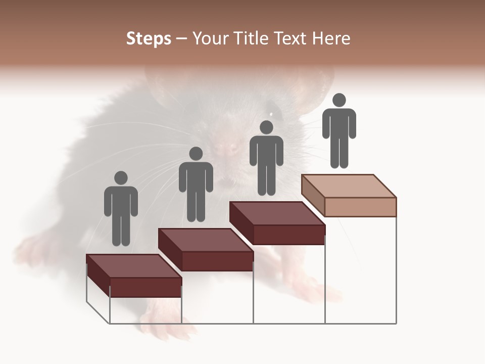 Background Tail Fluffy PowerPoint Template
