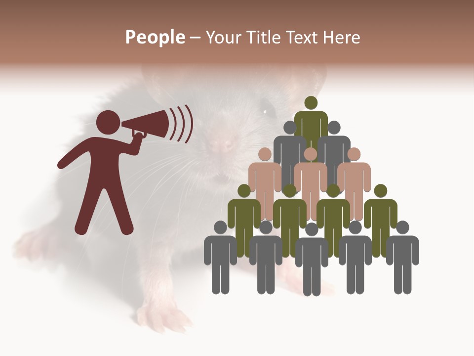 Background Tail Fluffy PowerPoint Template