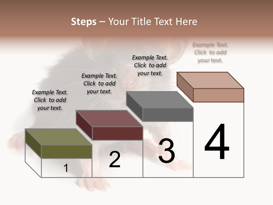 Background Tail Fluffy PowerPoint Template