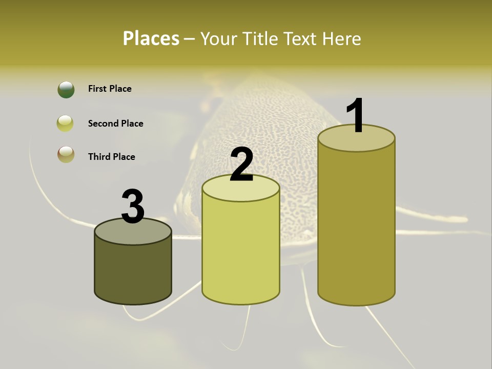 Aquarium Nature Tropical PowerPoint Template