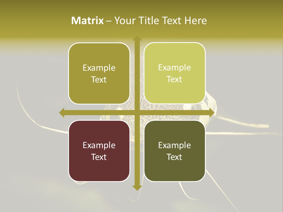 Aquarium Nature Tropical PowerPoint Template