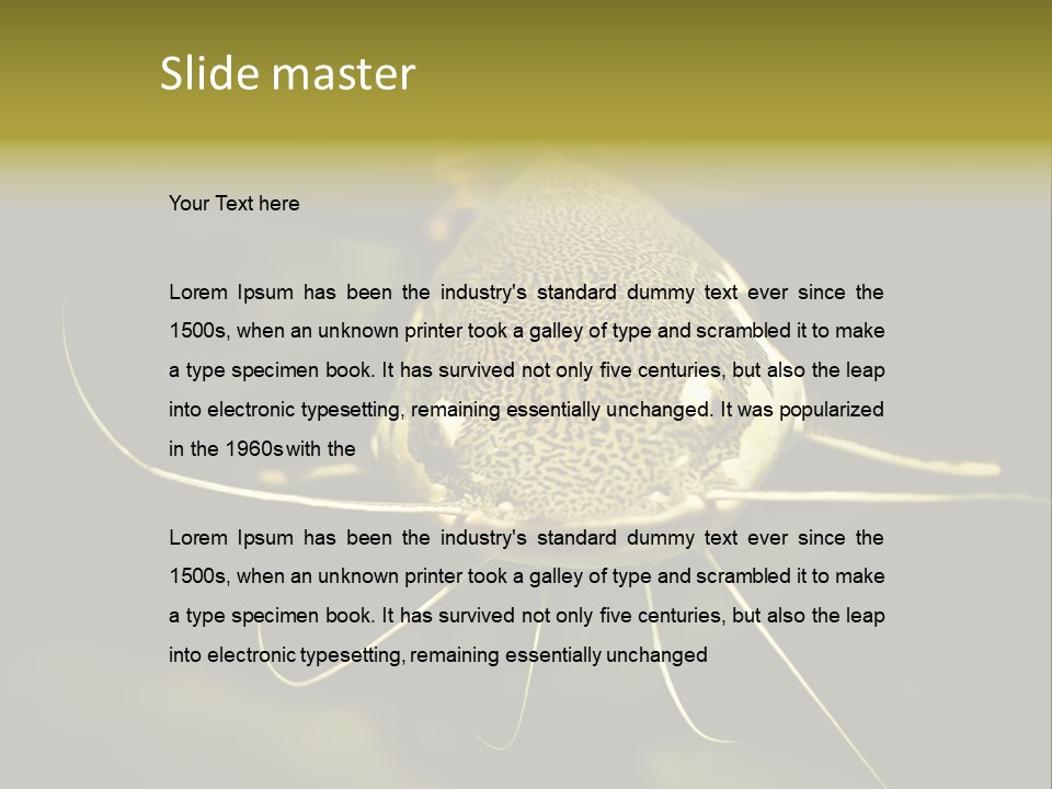 Aquarium Nature Tropical PowerPoint Template