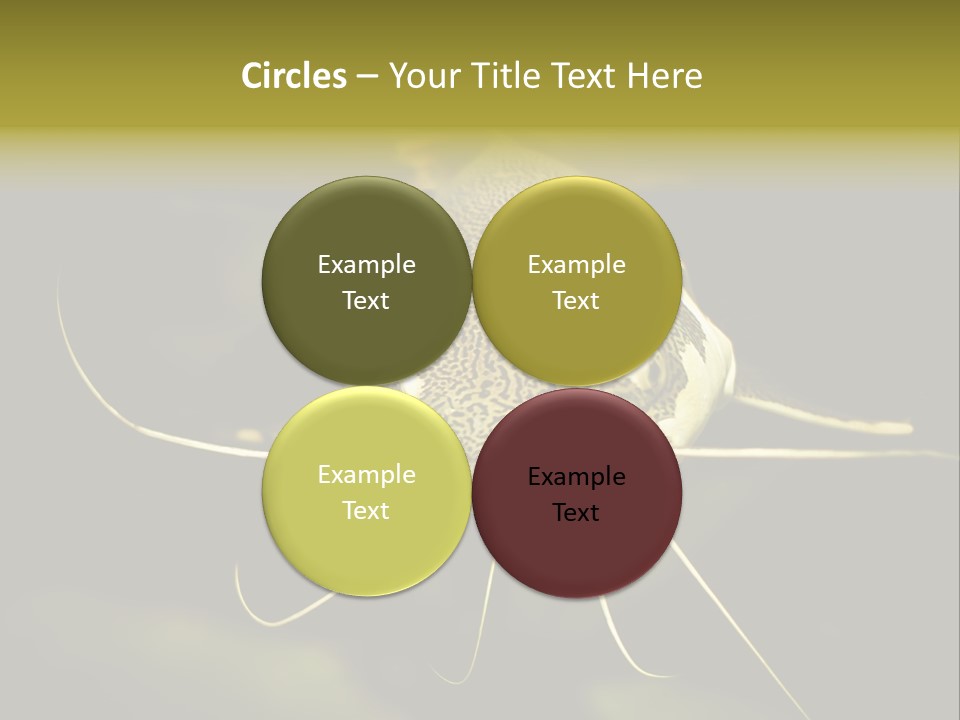 Aquarium Nature Tropical PowerPoint Template