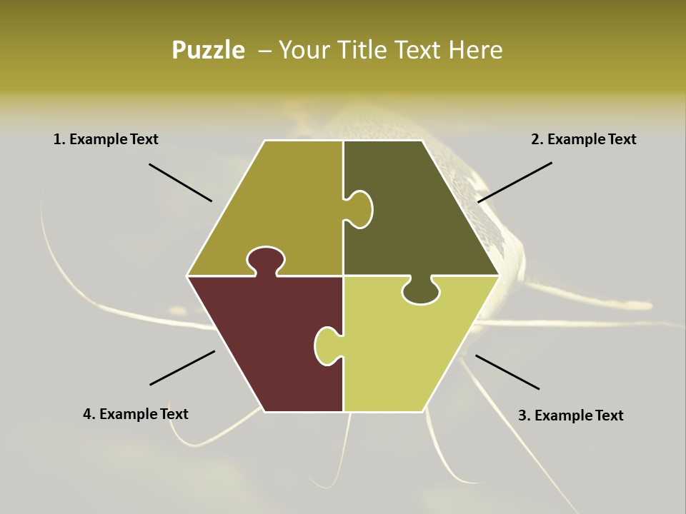 Aquarium Nature Tropical PowerPoint Template