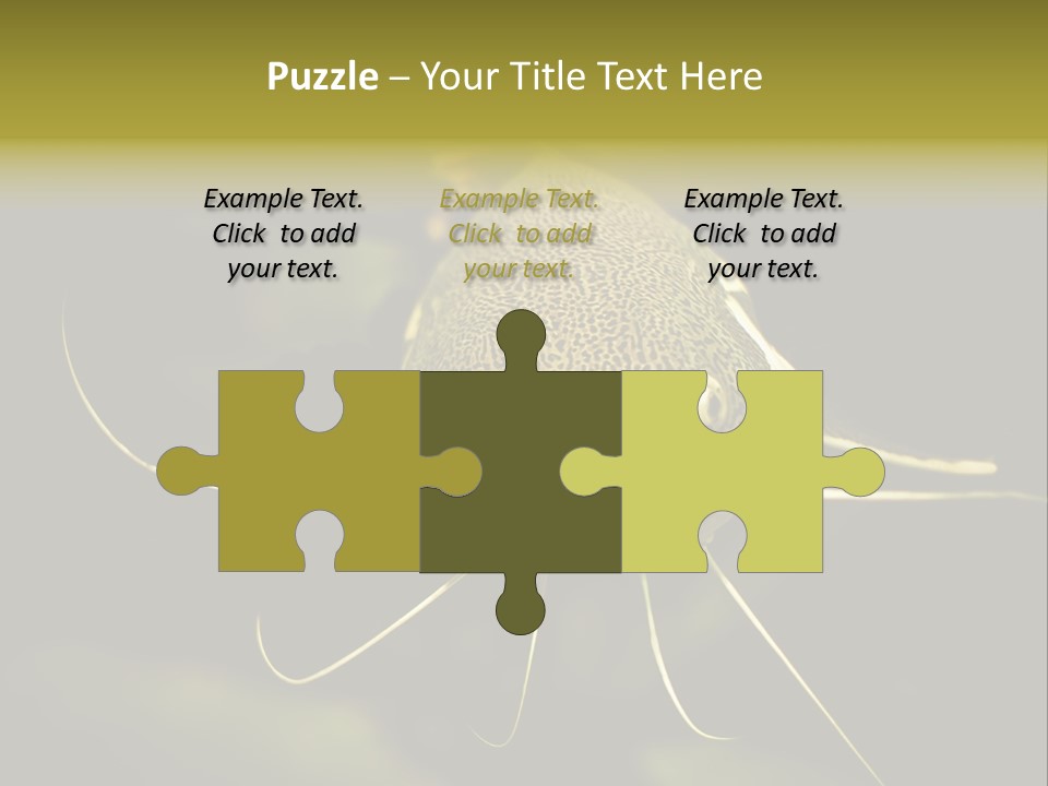 Aquarium Nature Tropical PowerPoint Template