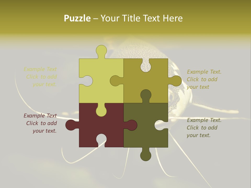 Aquarium Nature Tropical PowerPoint Template