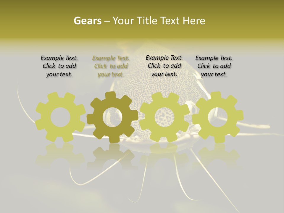 Aquarium Nature Tropical PowerPoint Template