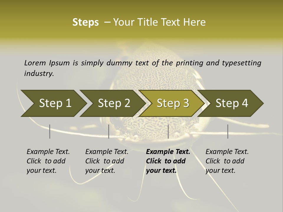 Aquarium Nature Tropical PowerPoint Template