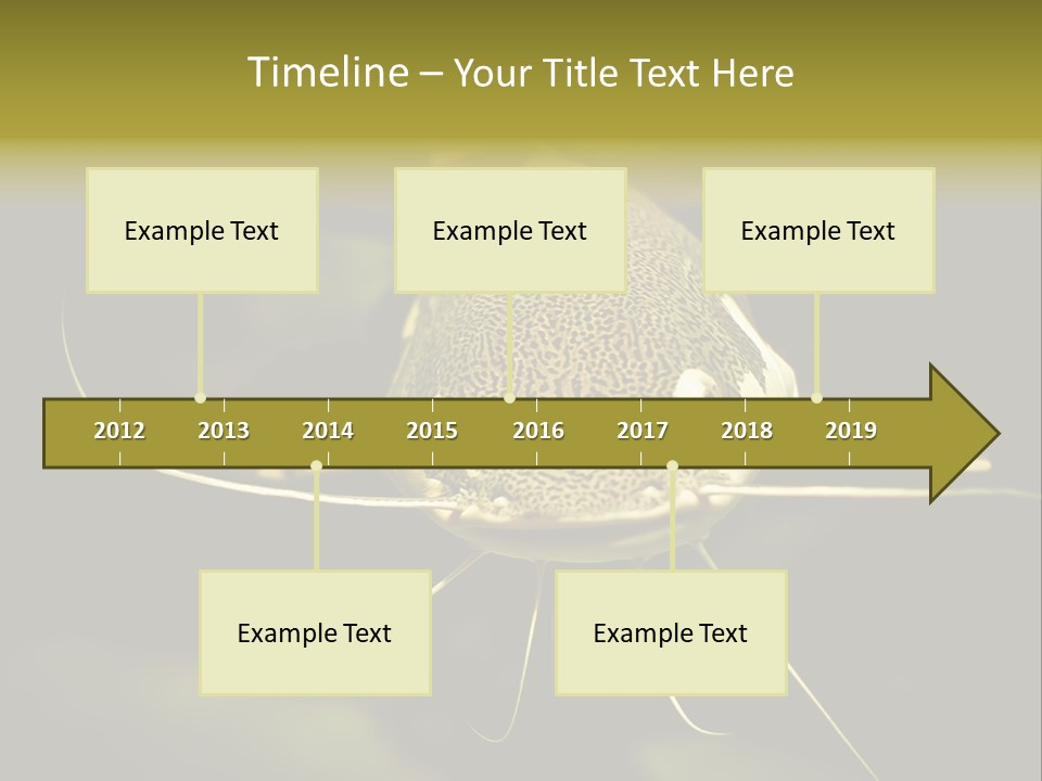 Aquarium Nature Tropical PowerPoint Template
