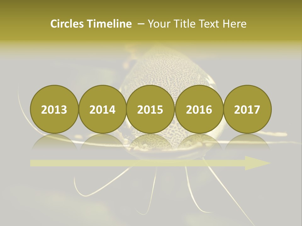 Aquarium Nature Tropical PowerPoint Template