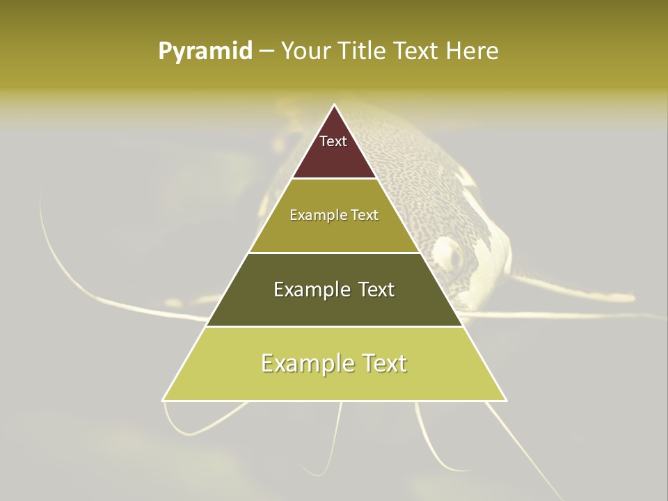 Aquarium Nature Tropical PowerPoint Template