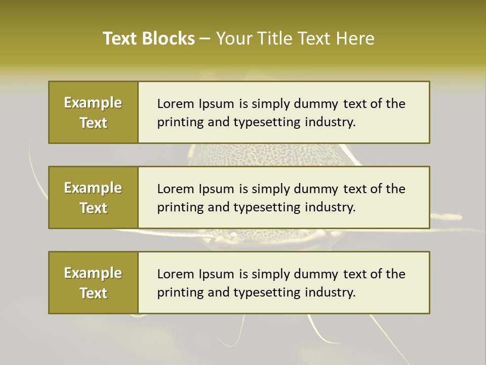 Aquarium Nature Tropical PowerPoint Template