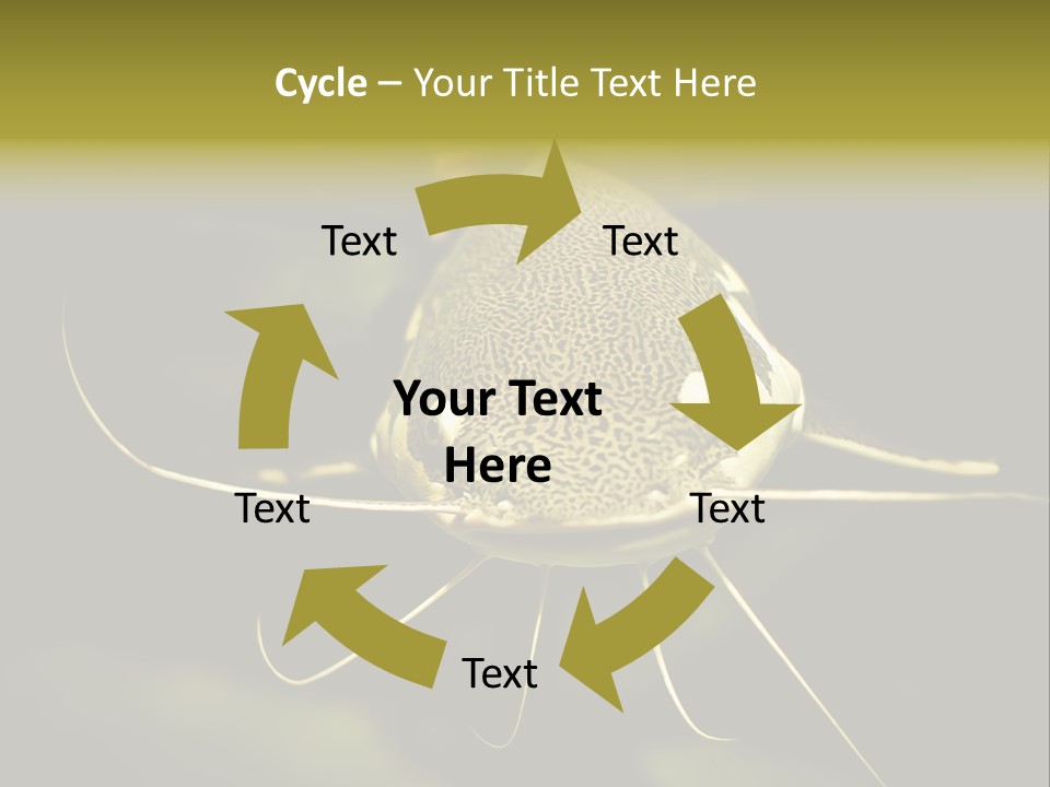 Aquarium Nature Tropical PowerPoint Template