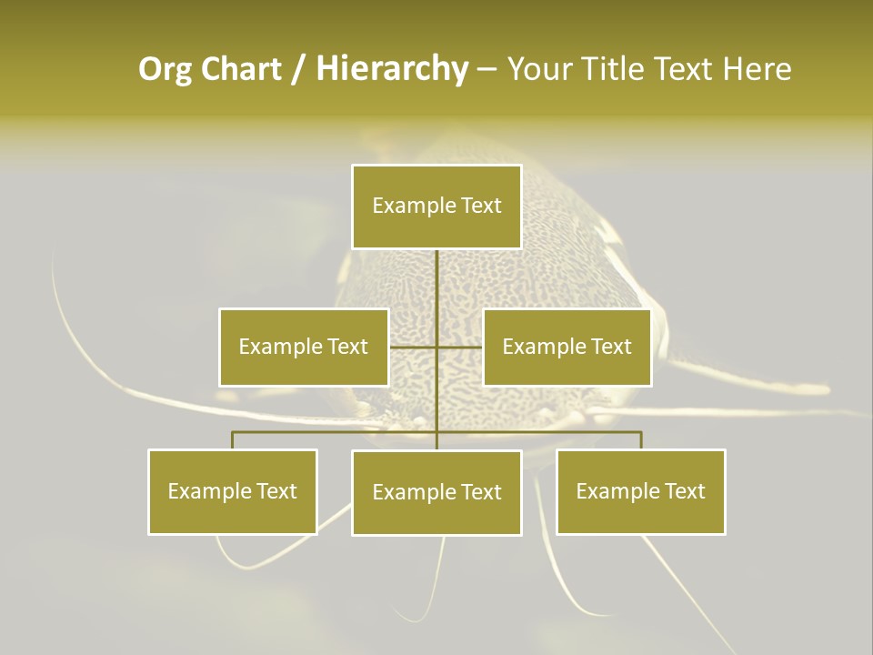 Aquarium Nature Tropical PowerPoint Template