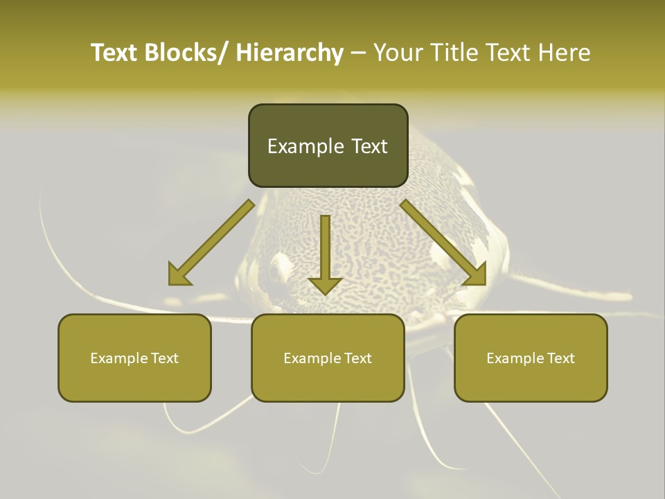 Aquarium Nature Tropical PowerPoint Template