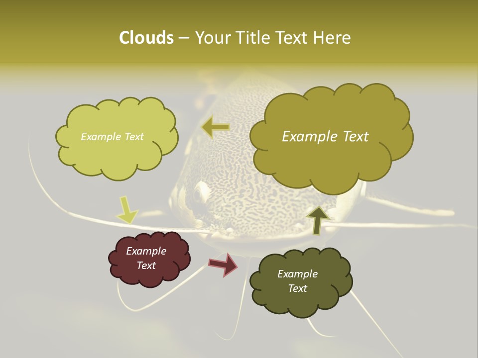 Aquarium Nature Tropical PowerPoint Template