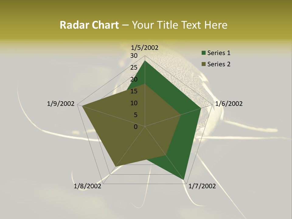 Aquarium Nature Tropical PowerPoint Template