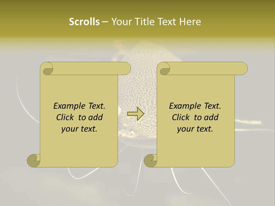 Aquarium Nature Tropical PowerPoint Template