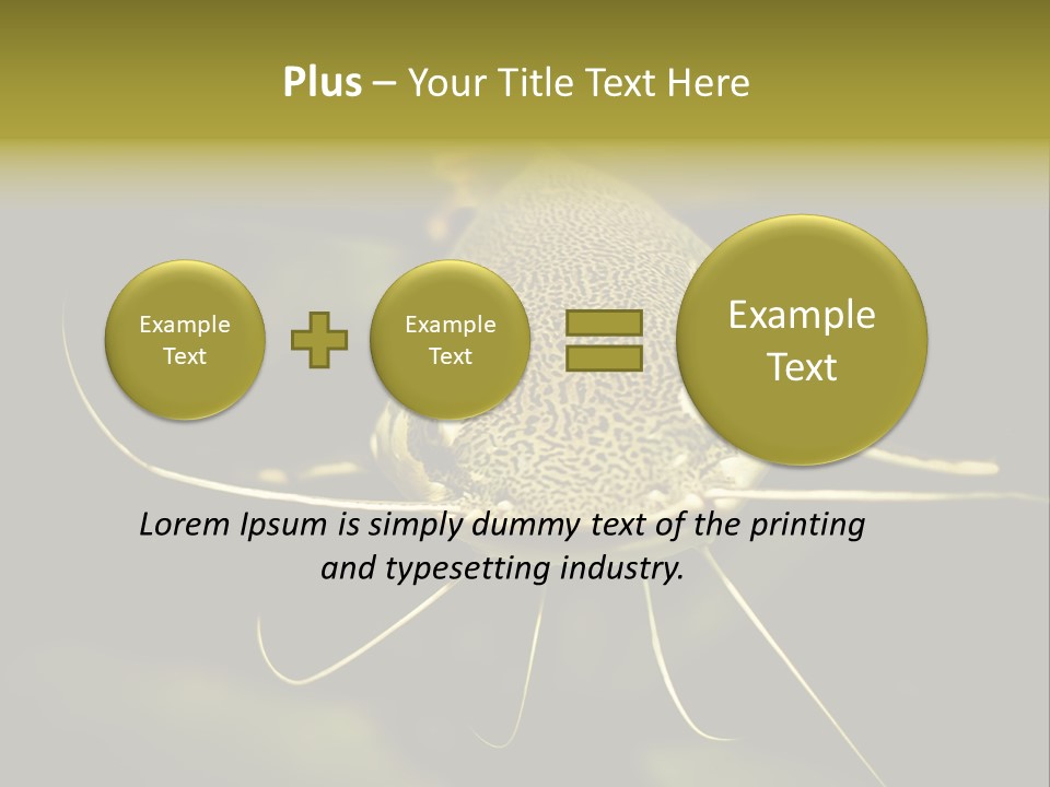 Aquarium Nature Tropical PowerPoint Template