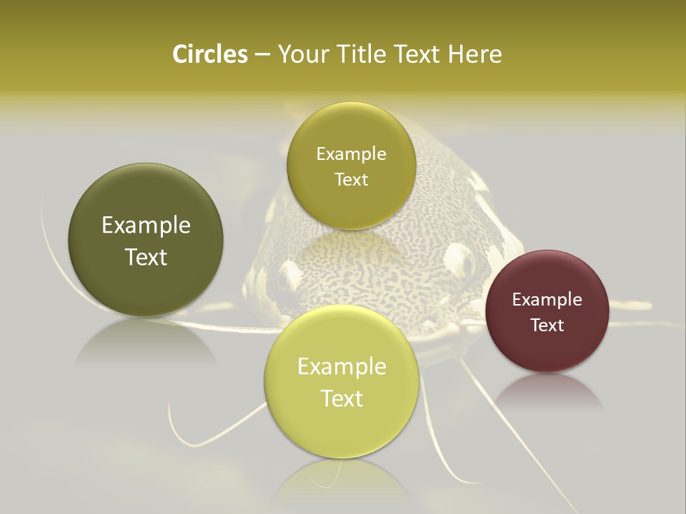 Aquarium Nature Tropical PowerPoint Template