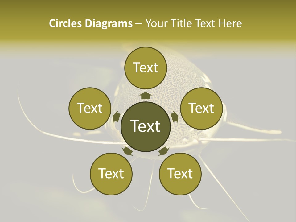 Aquarium Nature Tropical PowerPoint Template