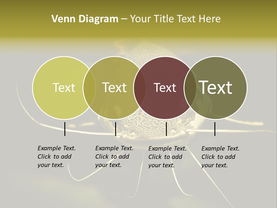 Aquarium Nature Tropical PowerPoint Template