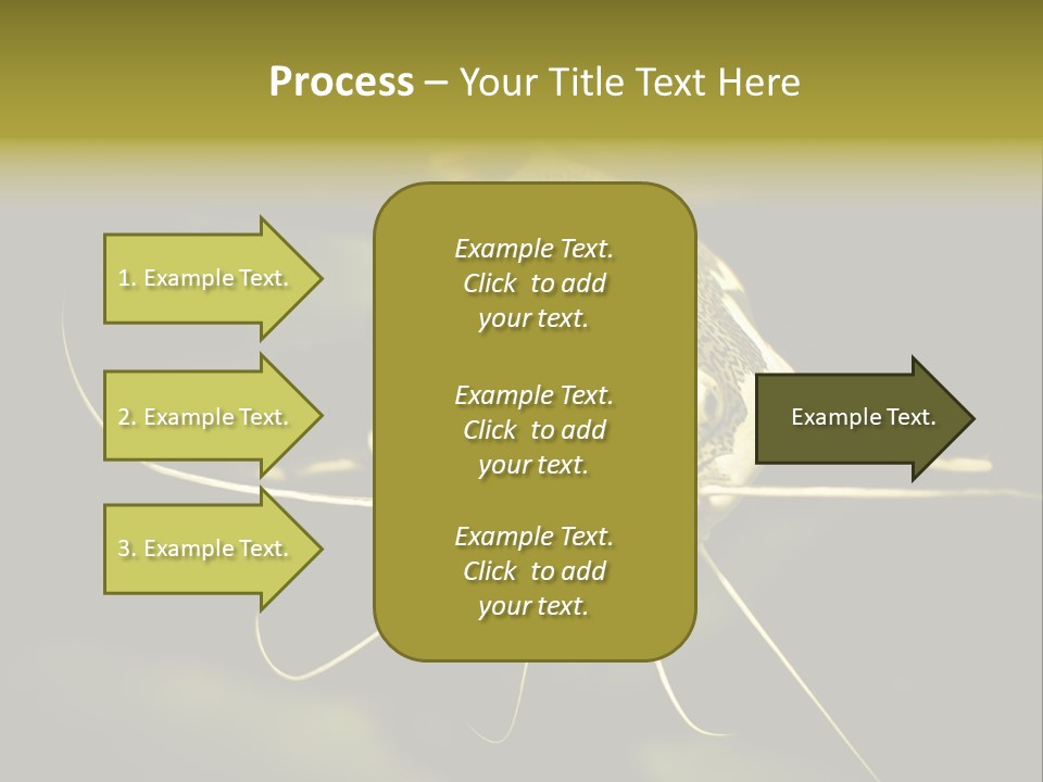 Aquarium Nature Tropical PowerPoint Template
