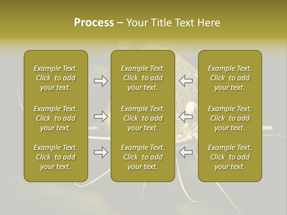 Aquarium Nature Tropical PowerPoint Template