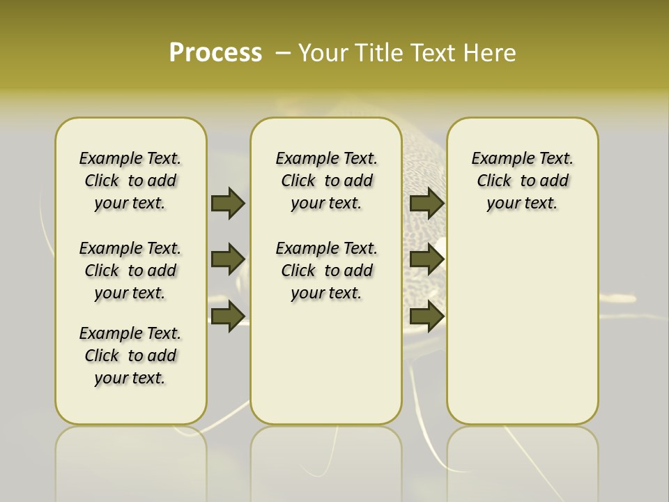 Aquarium Nature Tropical PowerPoint Template