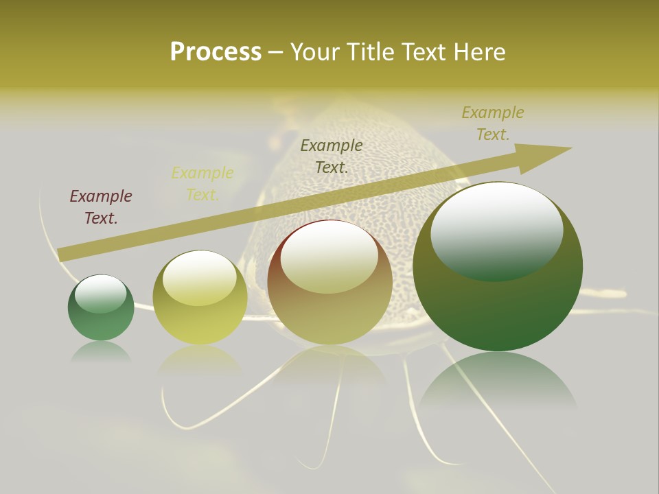 Aquarium Nature Tropical PowerPoint Template