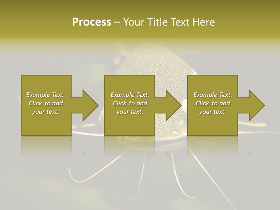 Aquarium Nature Tropical PowerPoint Template