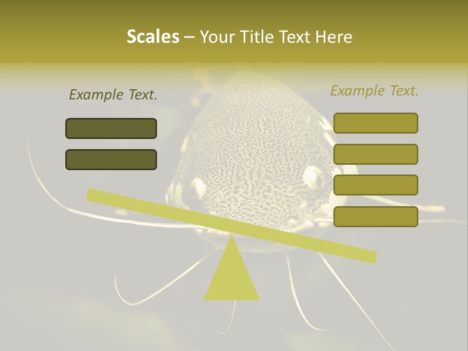 Aquarium Nature Tropical PowerPoint Template