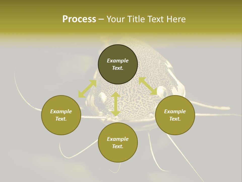 Aquarium Nature Tropical PowerPoint Template