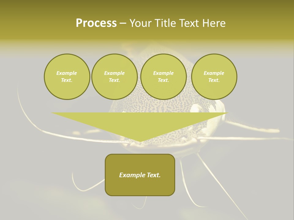 Aquarium Nature Tropical PowerPoint Template