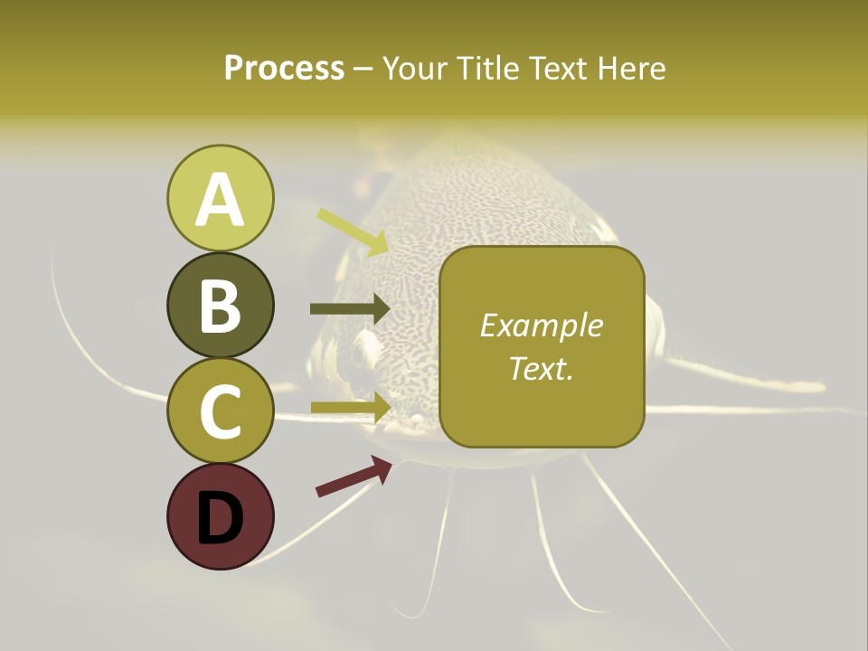 Aquarium Nature Tropical PowerPoint Template