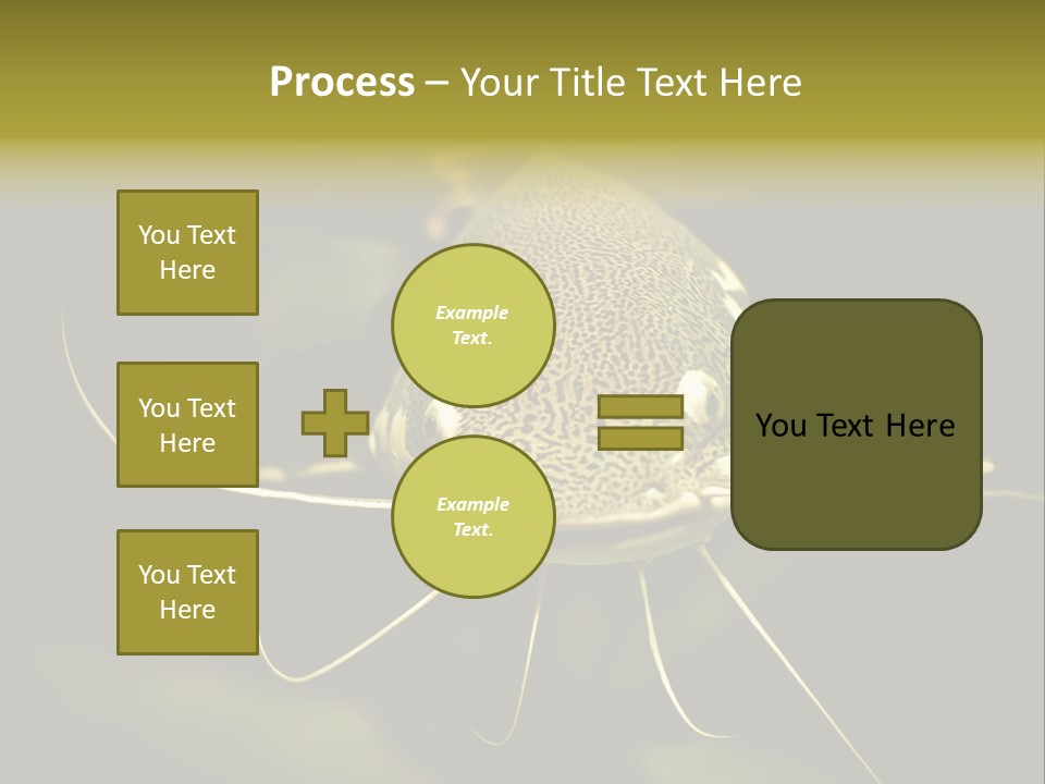 Aquarium Nature Tropical PowerPoint Template