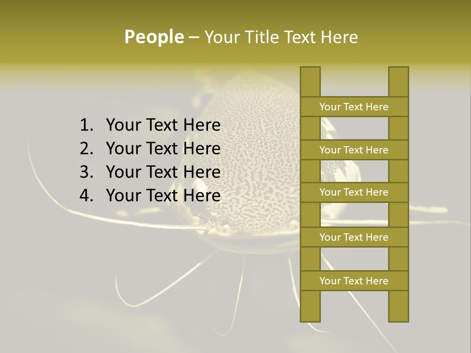 Aquarium Nature Tropical PowerPoint Template