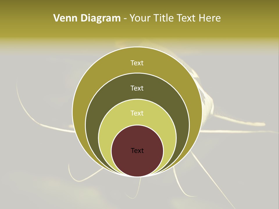 Aquarium Nature Tropical PowerPoint Template